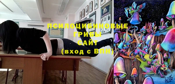 спайс Богородицк