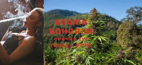 кокаин перу Богданович