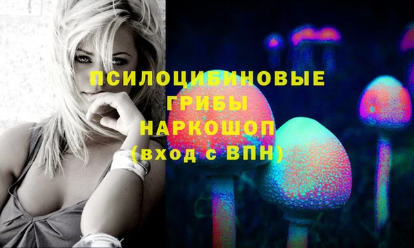 спайс Богородицк