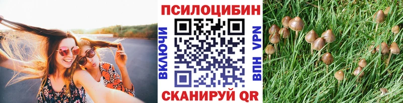 Галлюциногенные грибы GOLDEN TEACHER  Купить закладки  Бирюсинск 